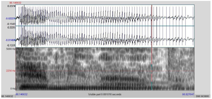 Spectrogram 1: "terminando", by Ratinho