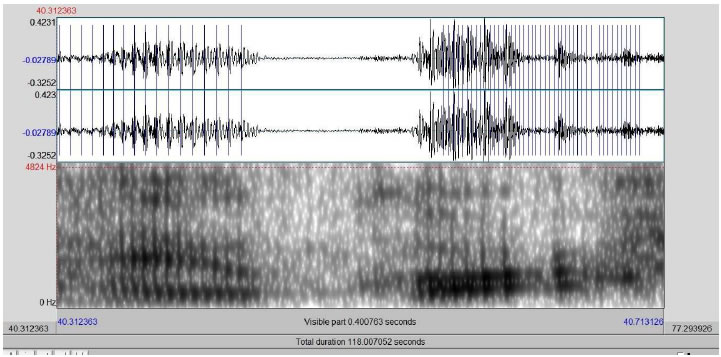 Spectrogram 7: "record", by Marilia Gabriela